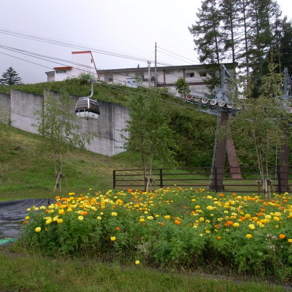ロープウェイで!全長2500ｍ。高低さ600ｍ。