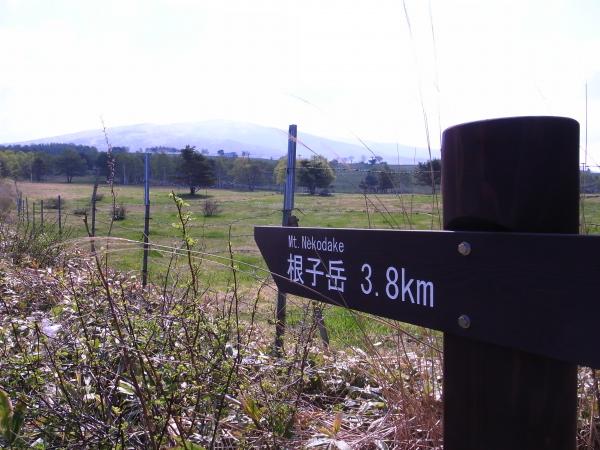 ペンション村から20分位。登山口です。