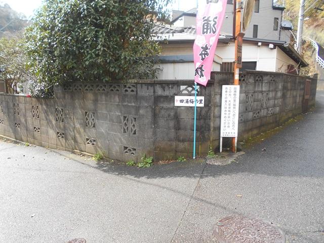 田浦梅の里へ京急からは16号を歩いてJRの線路を越えたら右に曲がると住宅地で案内が出てきます。