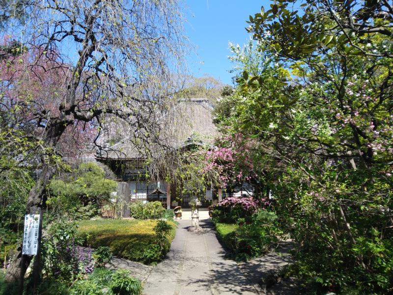 旧古賀庭園近く無量寺。とても美しく整った境内です。