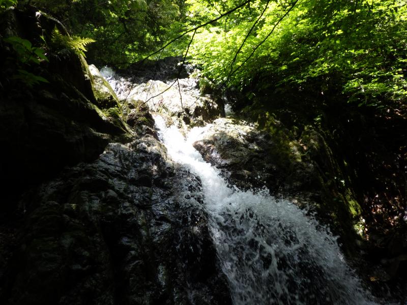 幅広の滝。明るくて葛葉川本谷で一番好きな滝。