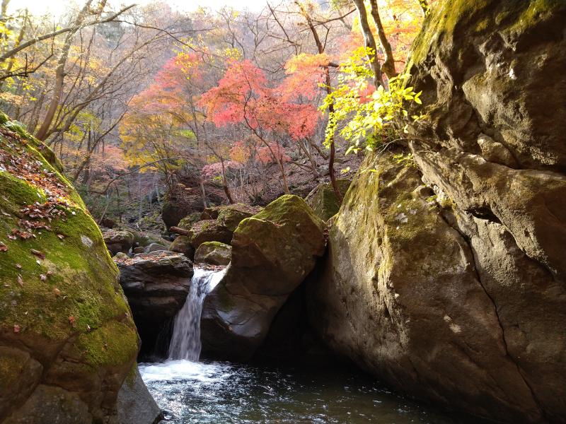 唐沢川　釜を持つ滝は泳いでも登れない