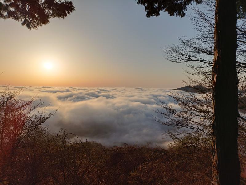 雲海と朝日。焼山コースの中間部以降は東側に開けていることが多い。