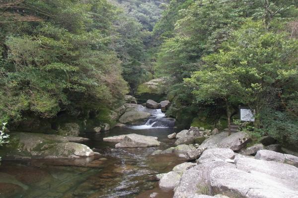 水・川・滝・苔の森の中へ