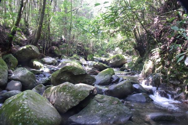 光が差し込むよい天気です