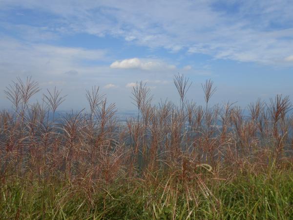 まだ少し早かったかな～。