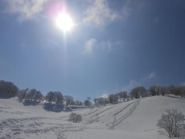 太陽が眩しい。