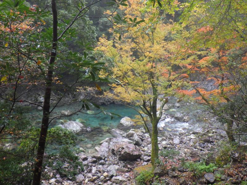 透明度がすごいです。