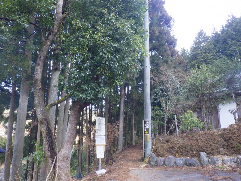 今年はホントに雪が無い。