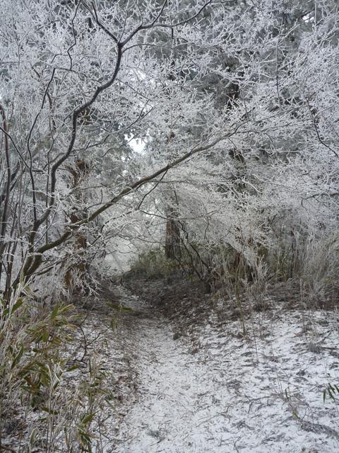 意外に積もっていました