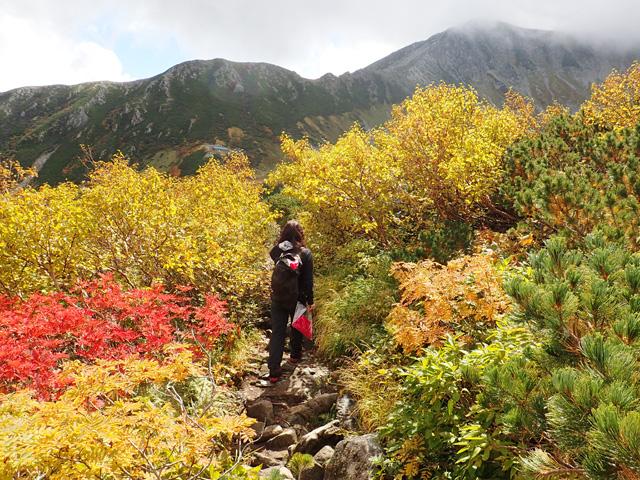 奇麗な紅葉の登山道。