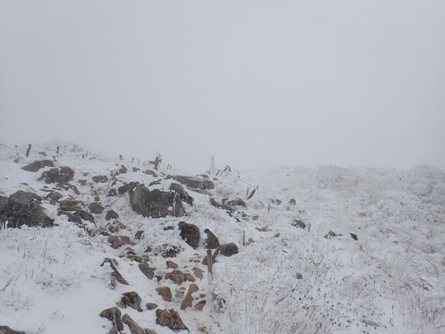 雪まじりの山頂直下。