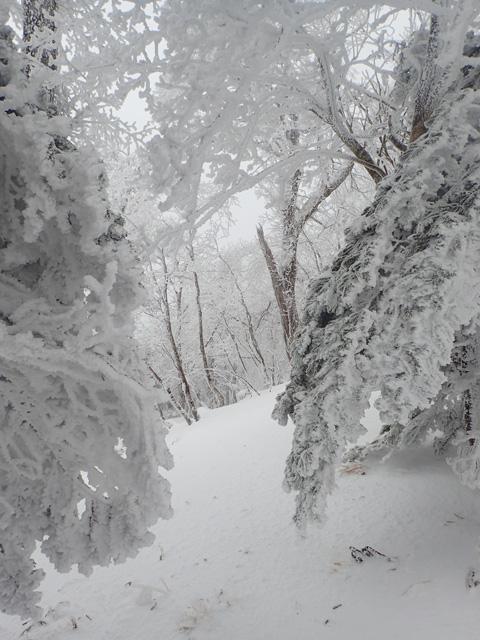 雪たっぷりの登山道