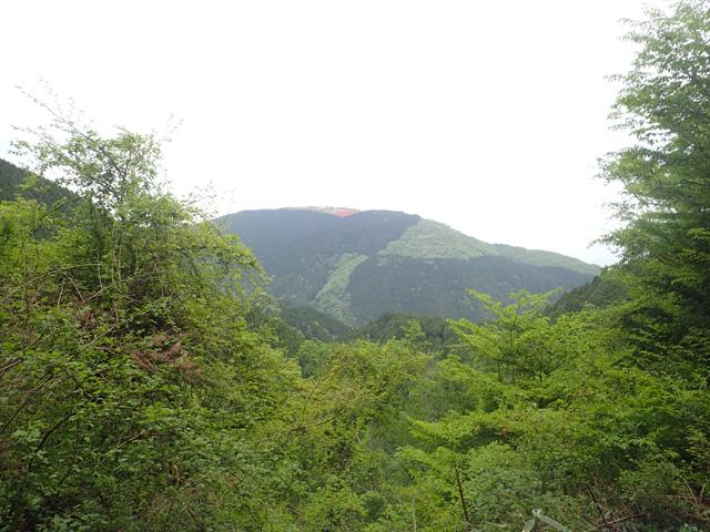 大和葛城山方面の景色。