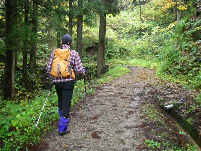 登山道