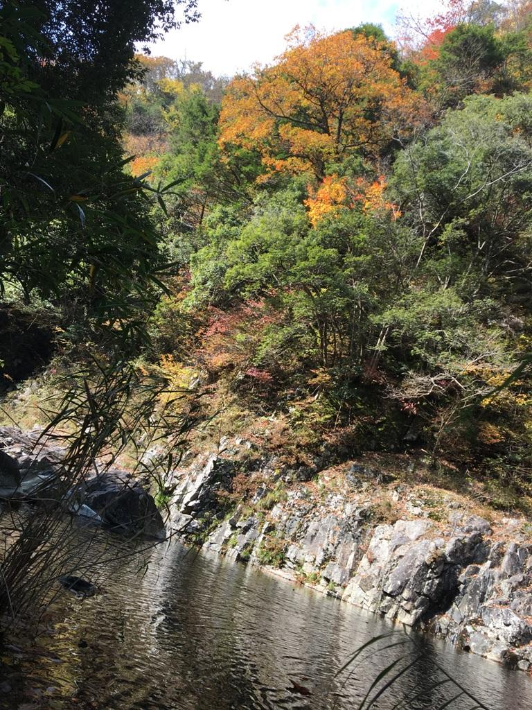 太田川の流れと紅葉。