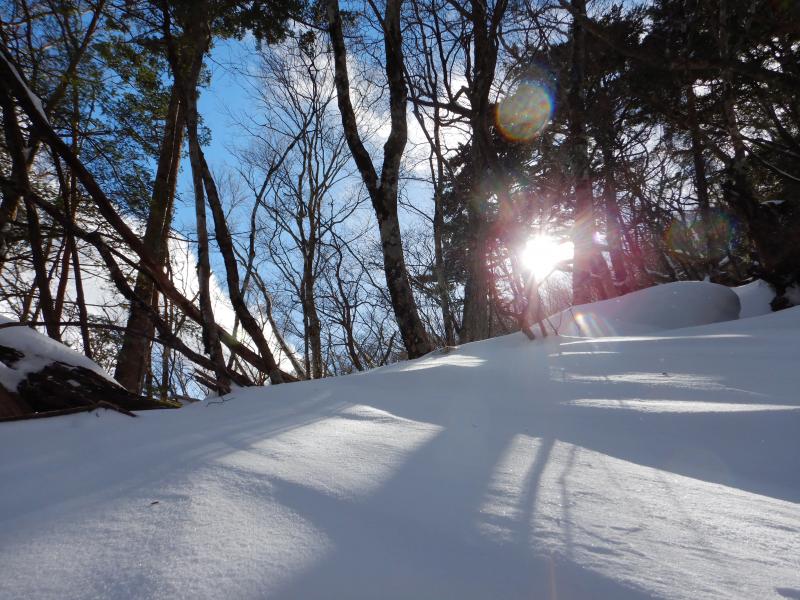 休憩中の一瞬の癒し。