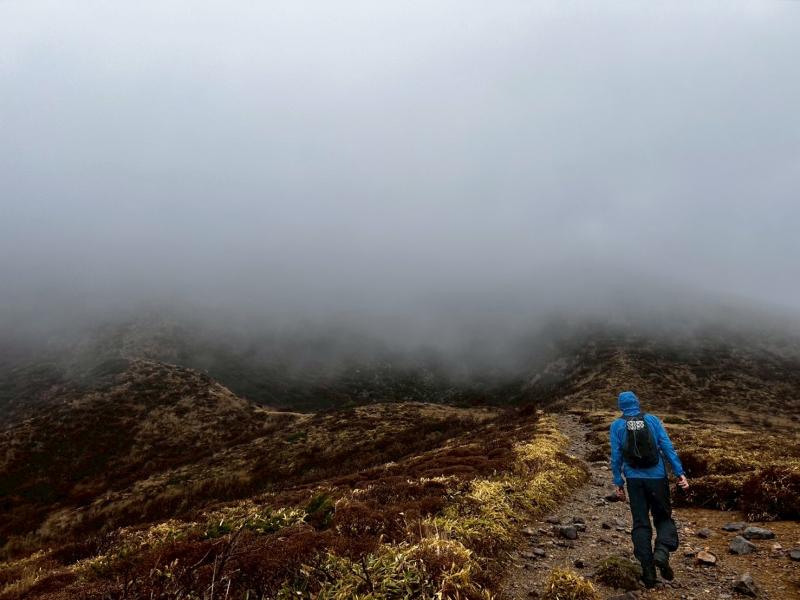 雨のくじゅう。