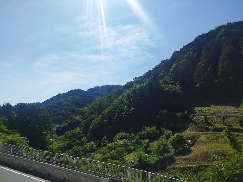 和田バス停からの景色