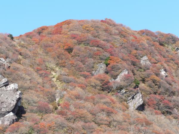 くじゅう星生山の紅葉トレッキングを楽しみます