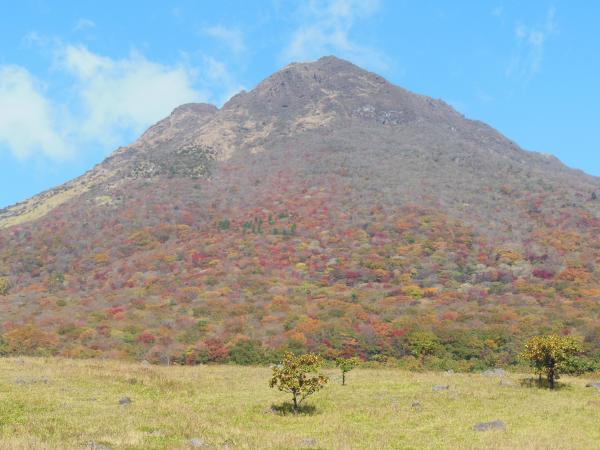 由布岳の紅葉登山を楽しみます
