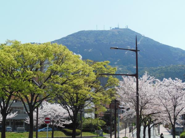 桜と新緑を見ながら皿倉山を目指します