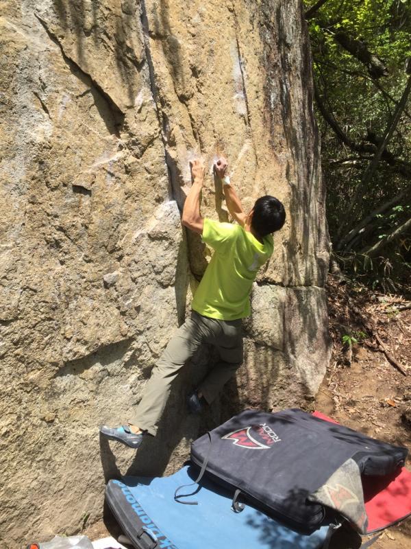 スタート　エイプリルフール