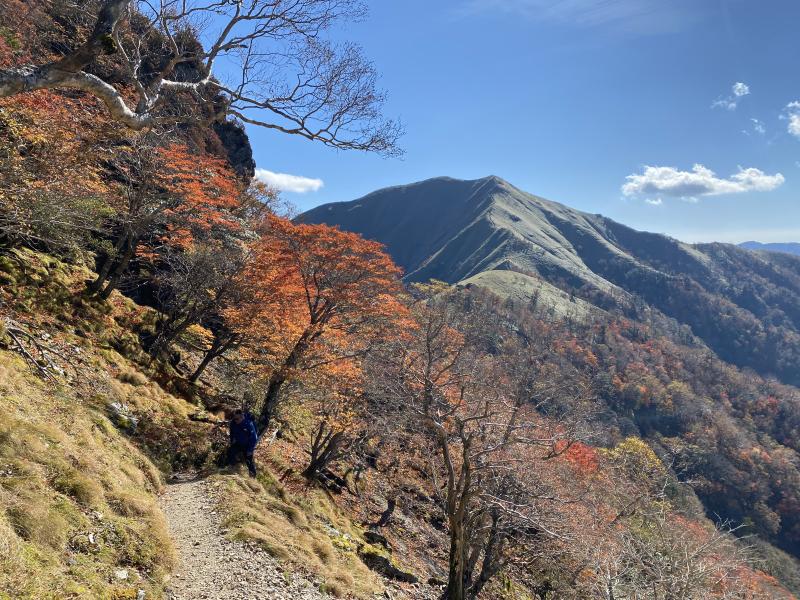 紅葉ギギリギリリ♪と剣山の稜線