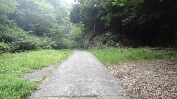 車道を少し歩くと