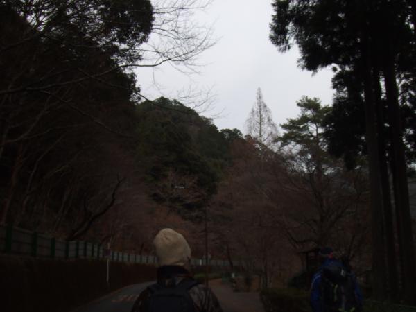 前回は紅葉してましたが…すっかり景色が変わってました。