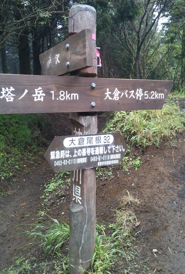 途中の分岐は非常にわかりやすいです。