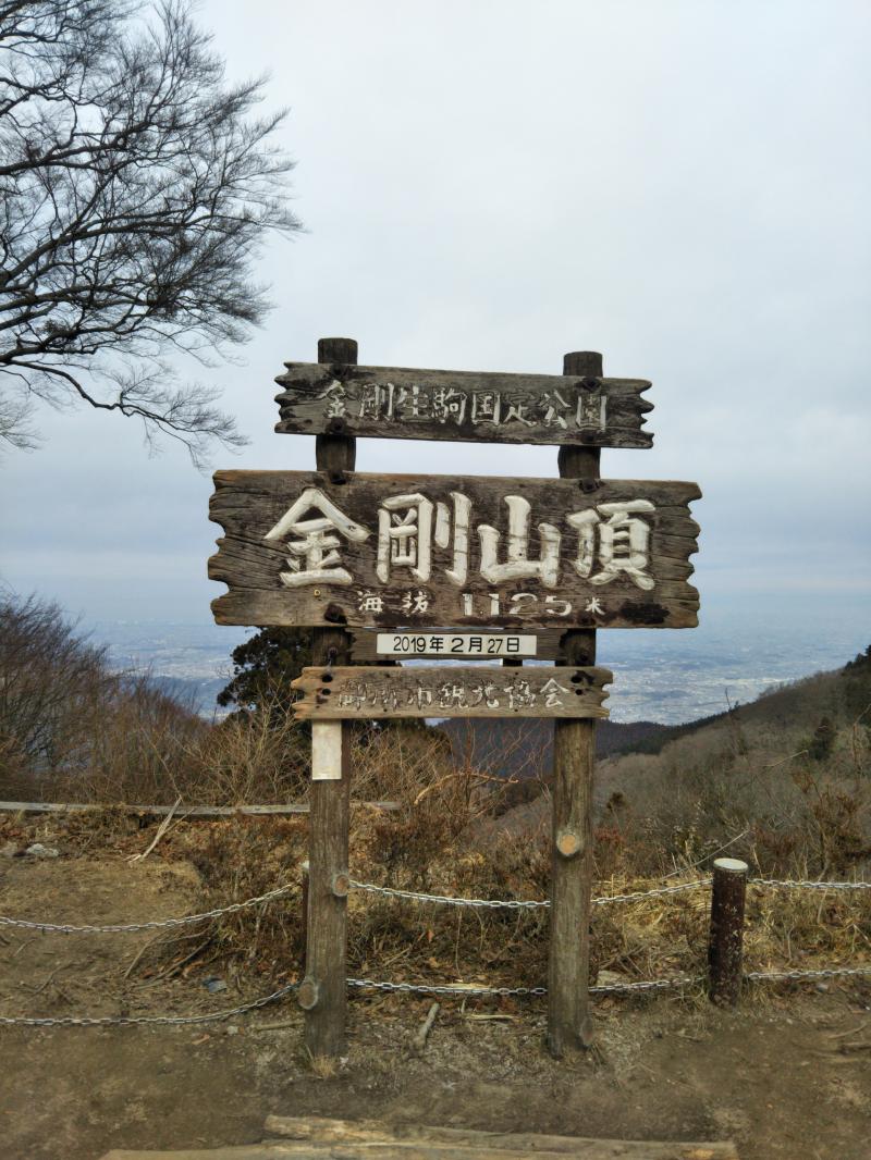 ちょうど10時のライブカメラに間に合いました！