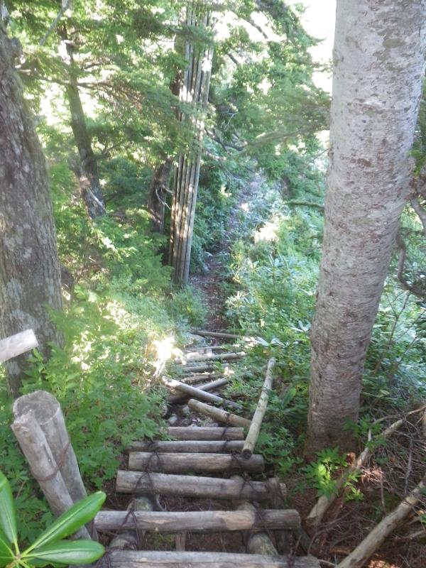 ハシゴ谷乗越の梯子は自然に還りつつある。