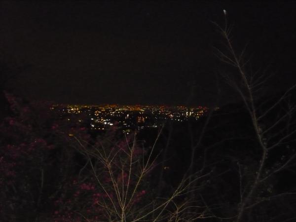 中山寺まで徒歩。まだ夜中のように暗いです。