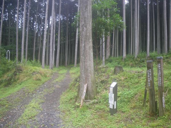 戸寺側登山口、沢沿いのルートです。ヒルが一匹いました。