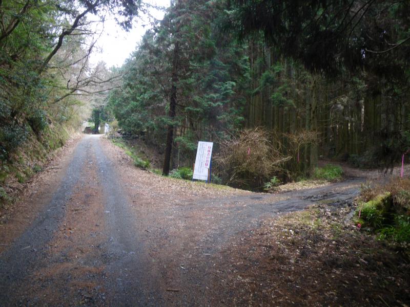 大石山の林道入口。右側に入って行きます。