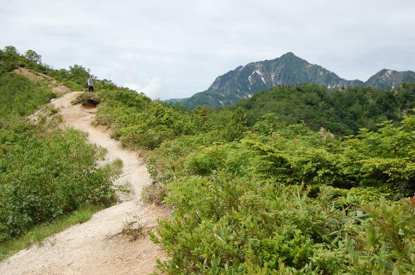 歩くと、五竜岳のお隣にある鹿島槍ヶ岳が顔を出します。この辺りで槍ヶ岳も望めました。
