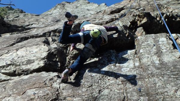 朝から良い動きしますね。