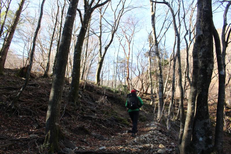 葉はすっかり落ちた登山道を歩きます。