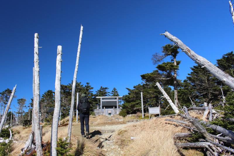 小屋からすぐです。