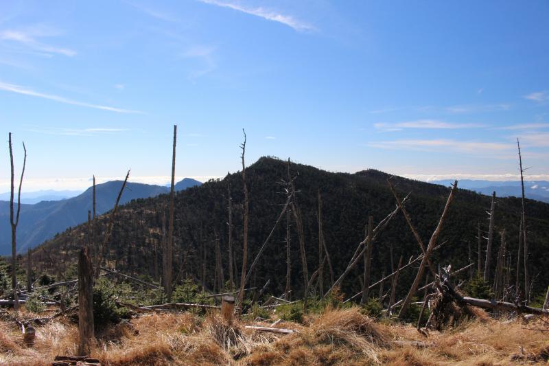 目指す八経ヶ岳が見えます。