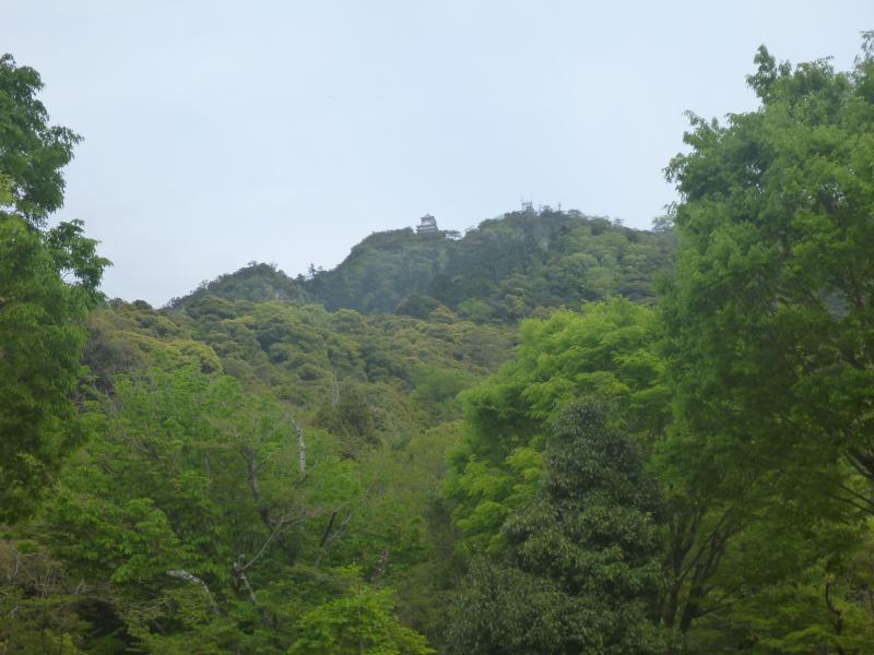 急峻な金華山の上に立つ岐阜城天守閣。