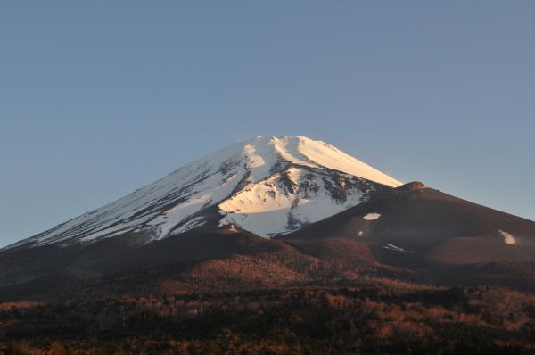 朝起きて、水ヶ塚公園から見上げた朝焼けに染まる富士山。きれいだ