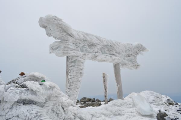 剣ヶ峰山頂の鳥居。凍りついてる！
