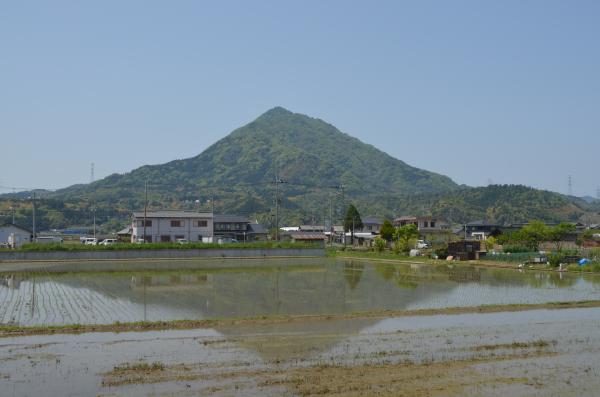 若狭富士・青葉山。東側から眺めると頂上が尖った富士山のような形です