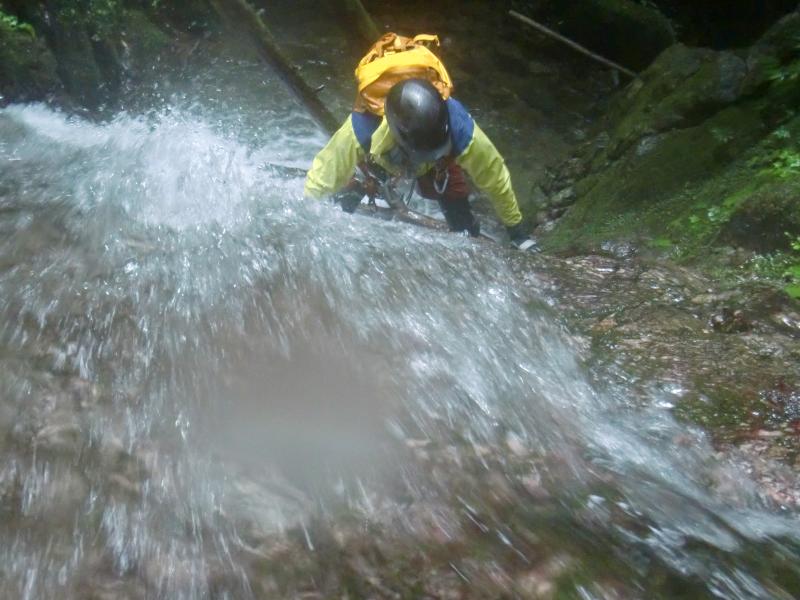 水の中でも元気に登る！