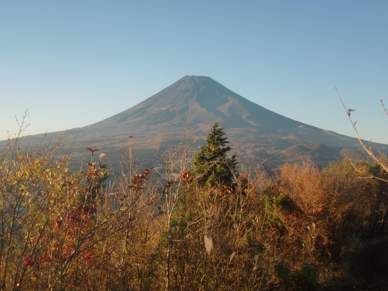 すごく大きなこの山が…富士山です！！