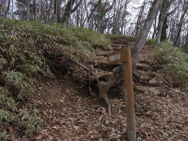 上日川峠から出発