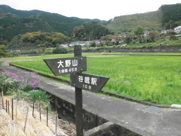 谷峨駅から田んぼの中を通って行きます