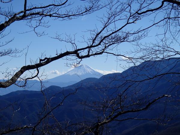 登ってる途中は富士山や南アルプスが見えます☆